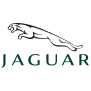 logo-10.png